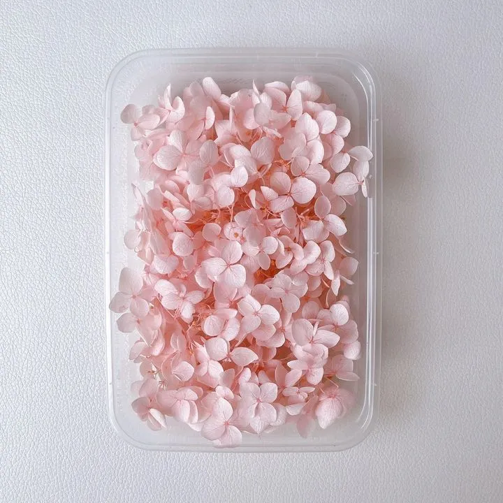 Dried Plants for Soap