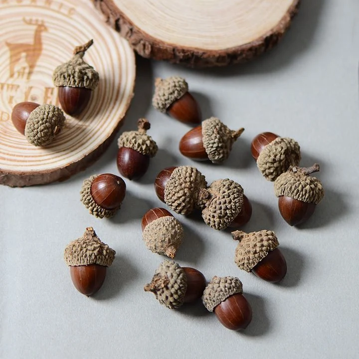 Dried Plants for Soap