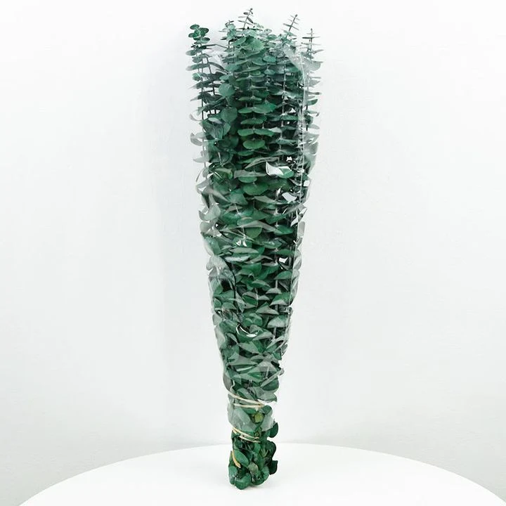 Dried Plants for Soap
