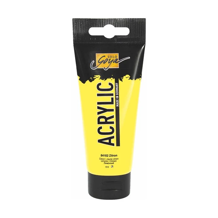 Solo Goya Acrylic Acrylic Paint 100 ml