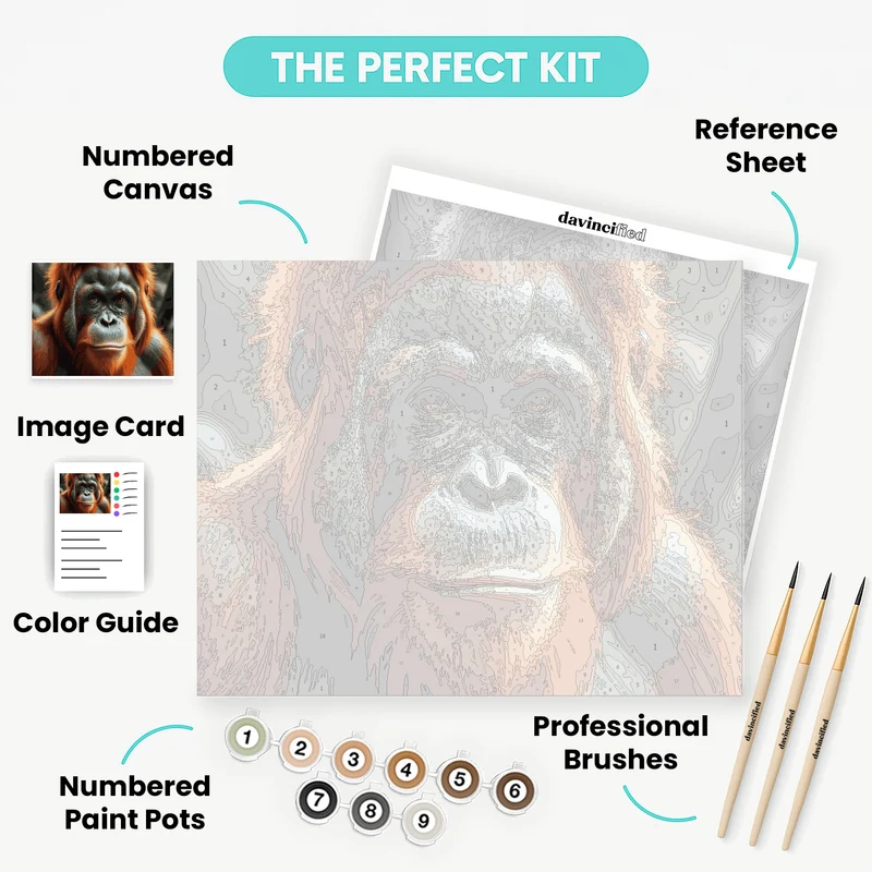 Wise Orangutan Portrait - Paint by Numbers Kit