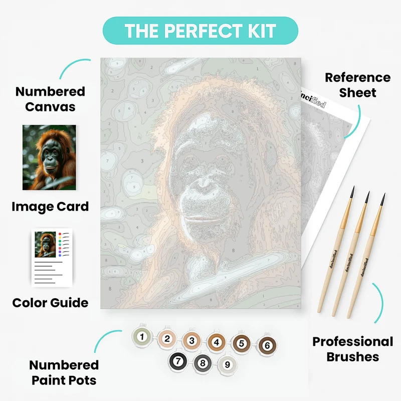 Orangutan - Paint by Numbers Kit