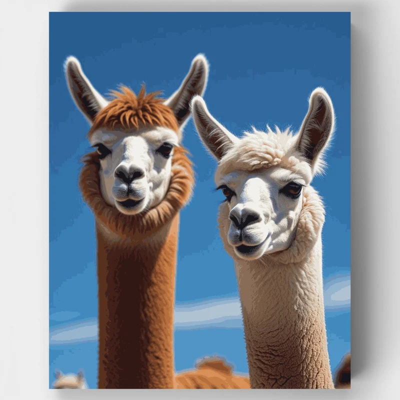 Adorable Alpacas - Paint by Numbers Kit