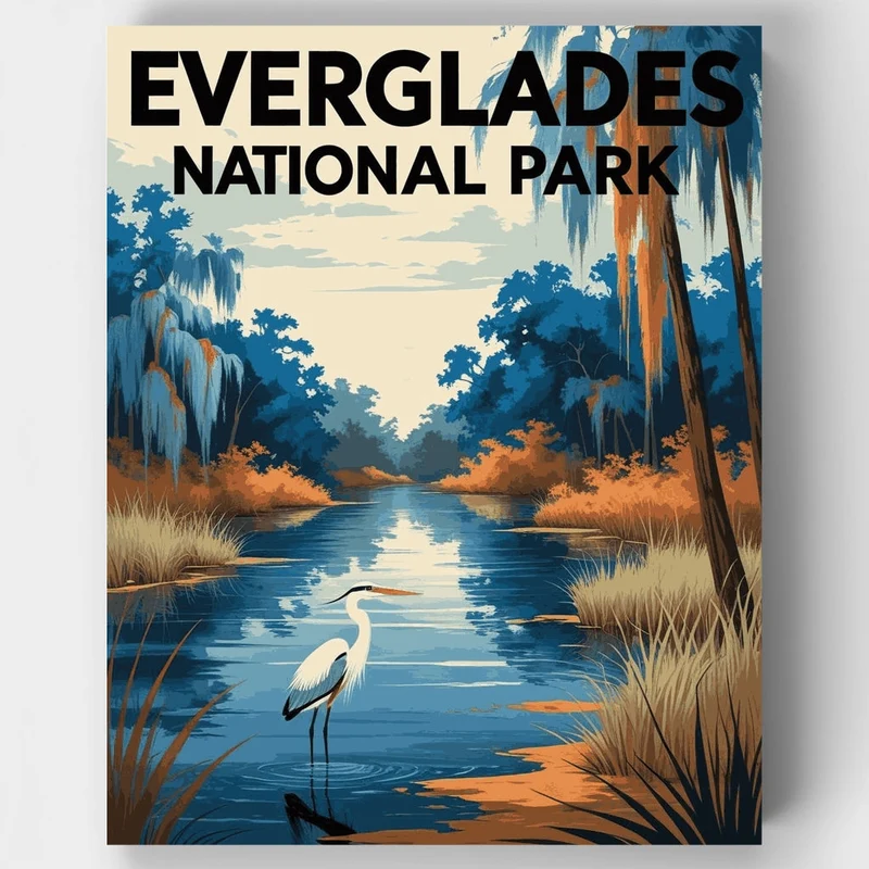 Everglades National Park Great Egret Waterway - Paint by Numbers Kit