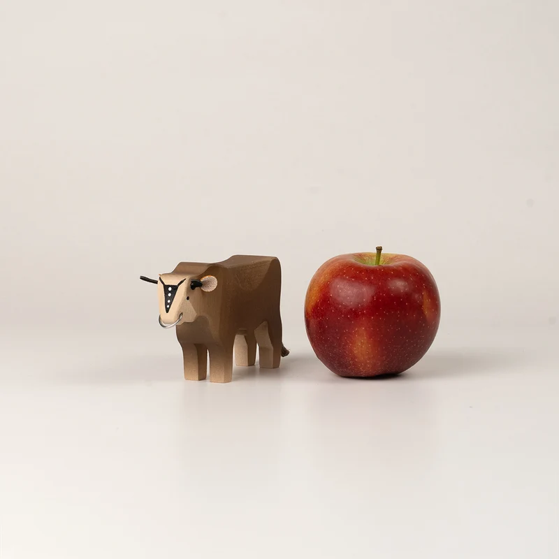 Stier 1 Braunvieh