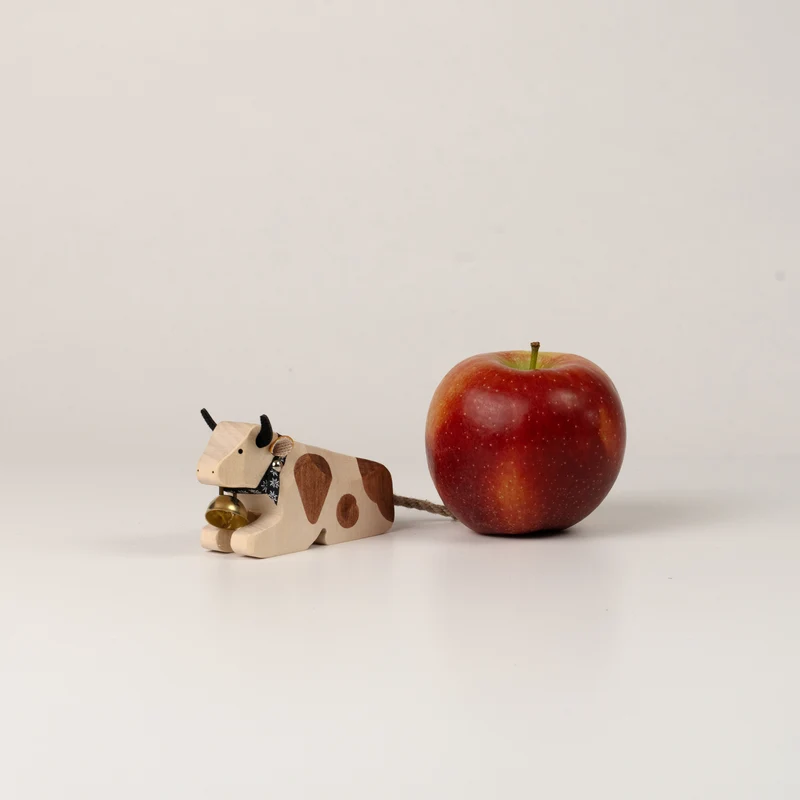 Kuh 1 liegend Red-Holstein