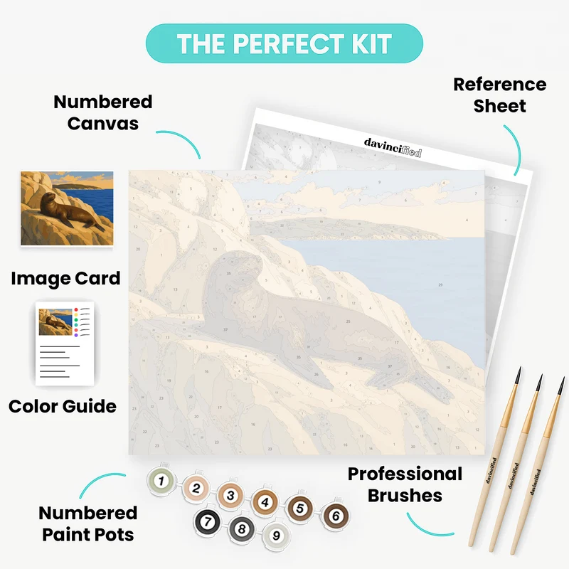 Fur Seal at Tonga Island - Paint by Numbers Kit