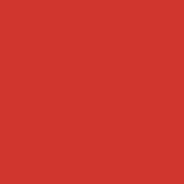 Daler Rowney - Canford - A1 Paper 150gsm - Guardsmas Red