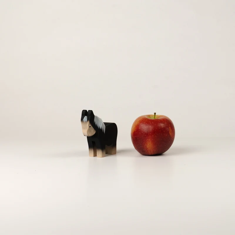 Pony schwarz