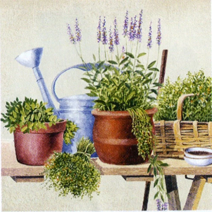 Potting Herbs Decoupage Napkins - 1 pc