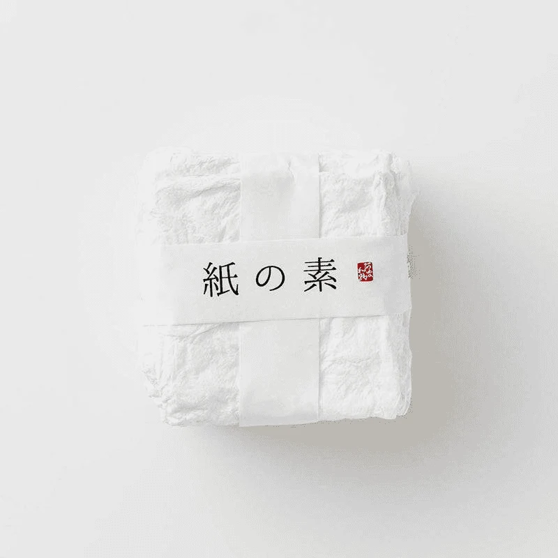 Awagami Japanese Papermaking Kit