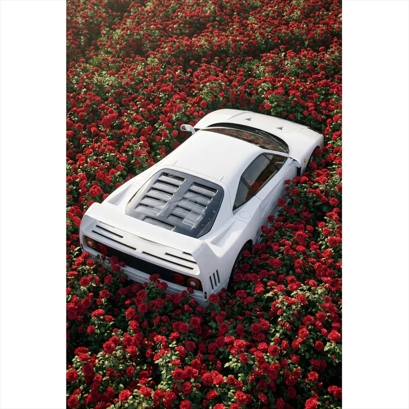 Acrylglasbild Sportwagen in Rosenmeer Hochformat