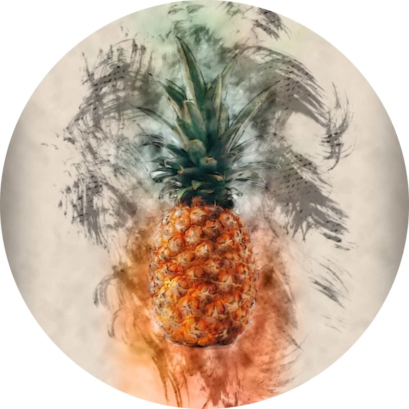 Aluminiumbild gebürstet Ananas Abstrakt Kreis