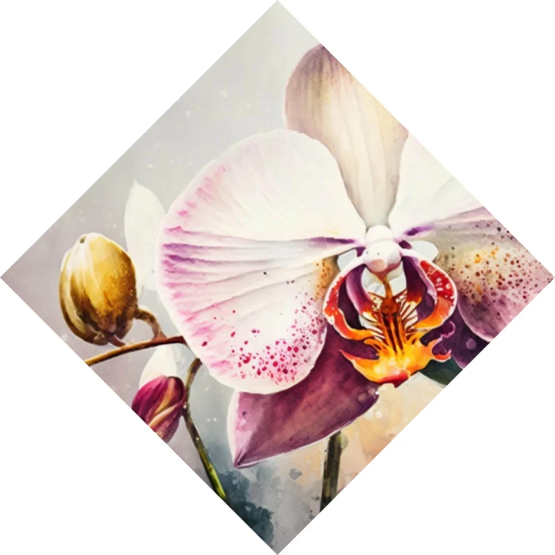 Aluminiumbild gebürstet Edle Aquarell Orchidee Raute