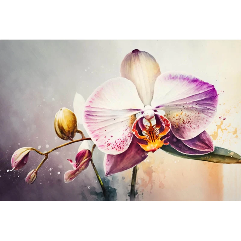 Aluminiumbild gebürstet Edle Aquarell Orchidee Querformat