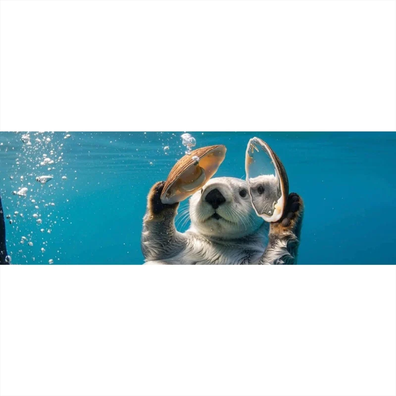 Spannrahmenbild Niedlicher Otter mit Muscheln im Wasser Panorama
