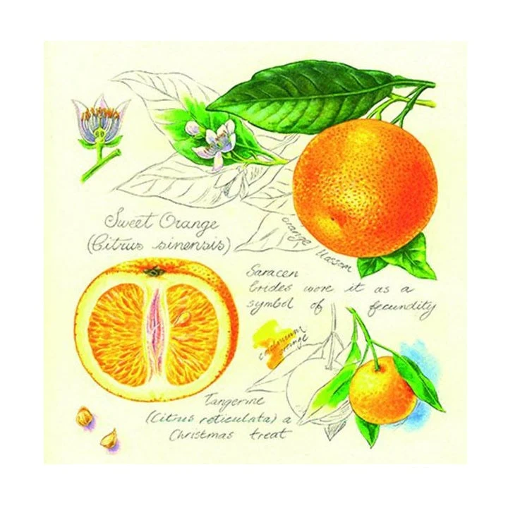 Oranges Decoupage Napkins - 1 pc