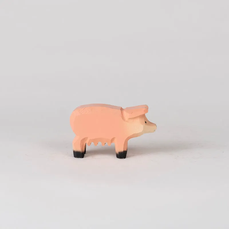 Hausschwein Piggy