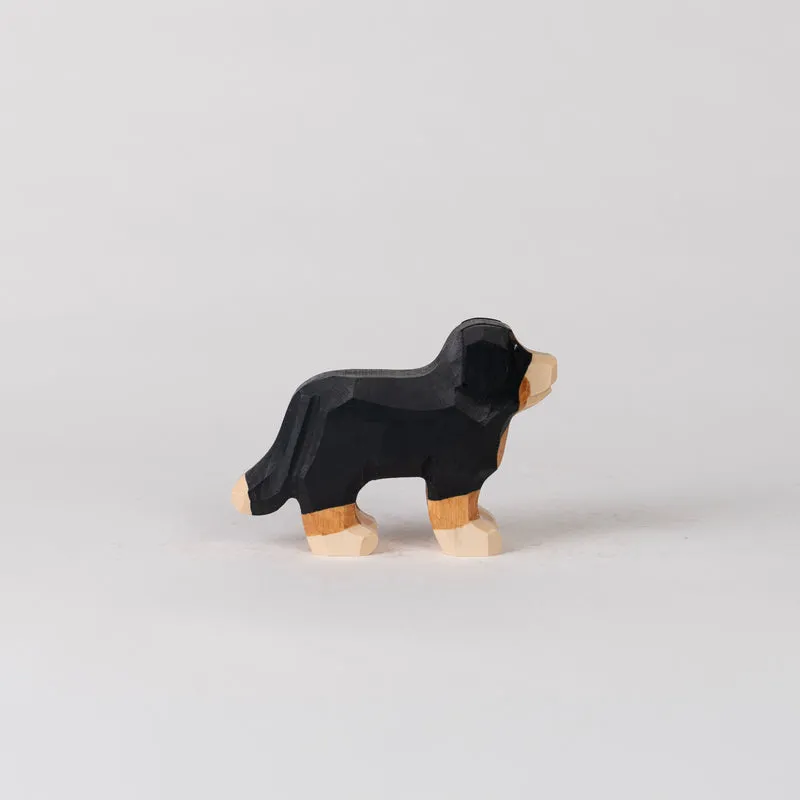 Hund Cora