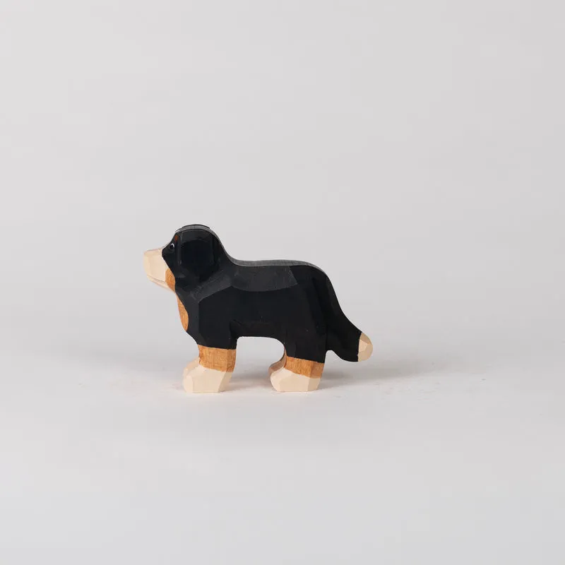 Hund Cora
