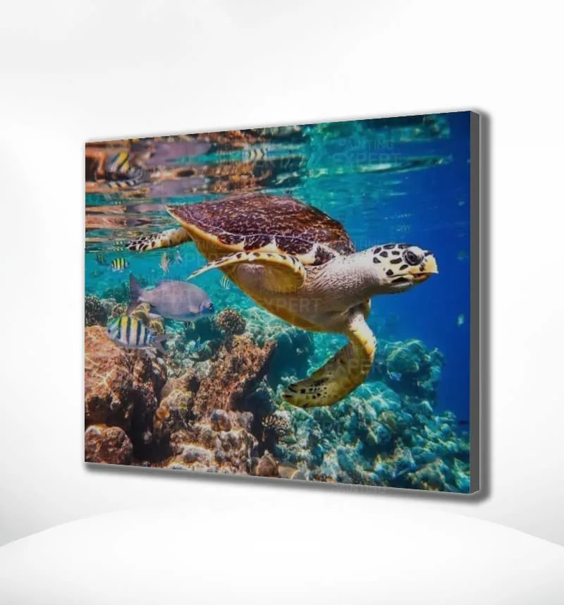 Diamond Painting Schildkröte Meer