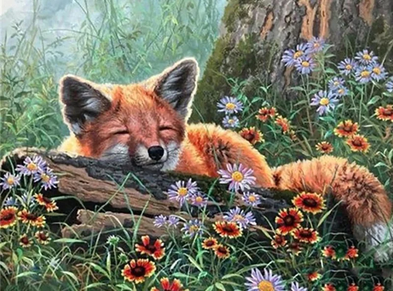 Malen nach Zahlen Schlafender Fuchs