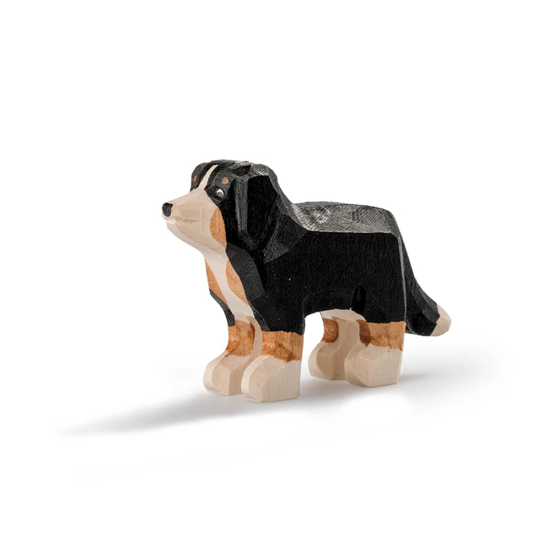 ProSpecieRara Appenzeller Sennenhund