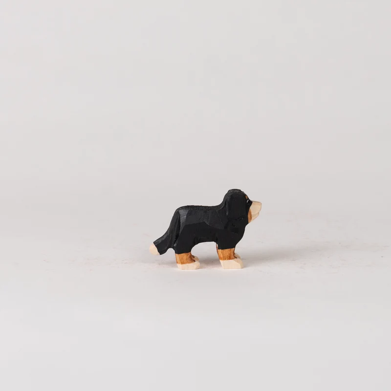 ProSpecieRara Appenzeller Sennenhund