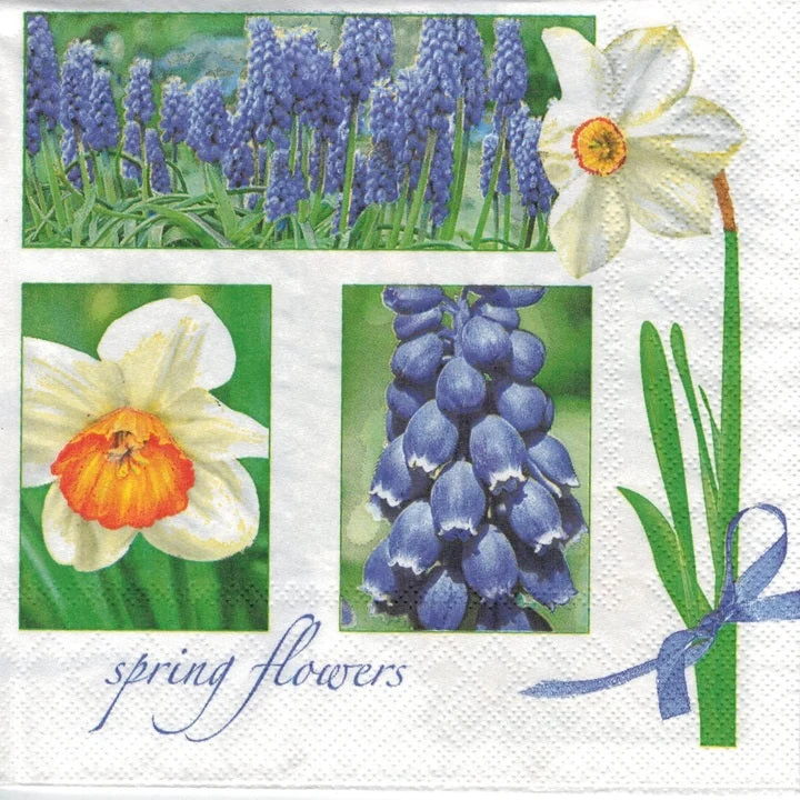 Muscari & Narcissus Decoupage Napkin - 1 pc