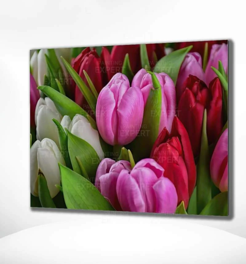 Malen nach Zahlen Tulpen