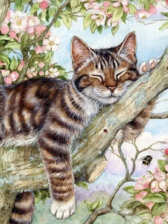 Malen nach Zahlen Schlafende Katze im Baum