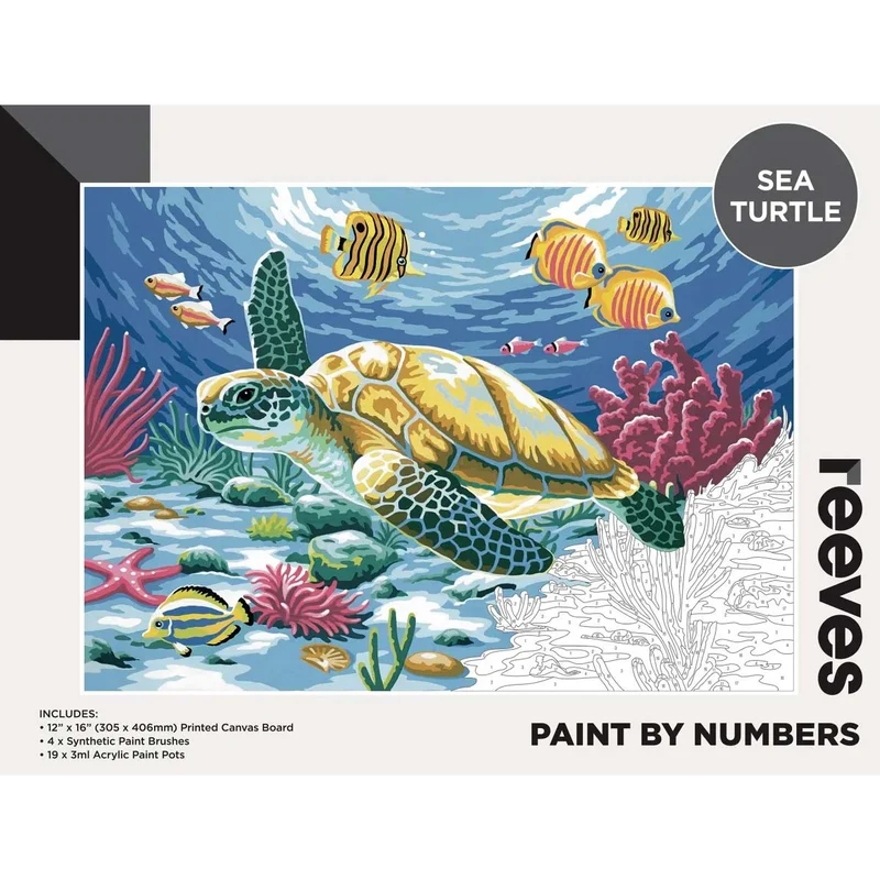 Reeves Paint by Numbers Large 12x16 inch - Sea Turtle