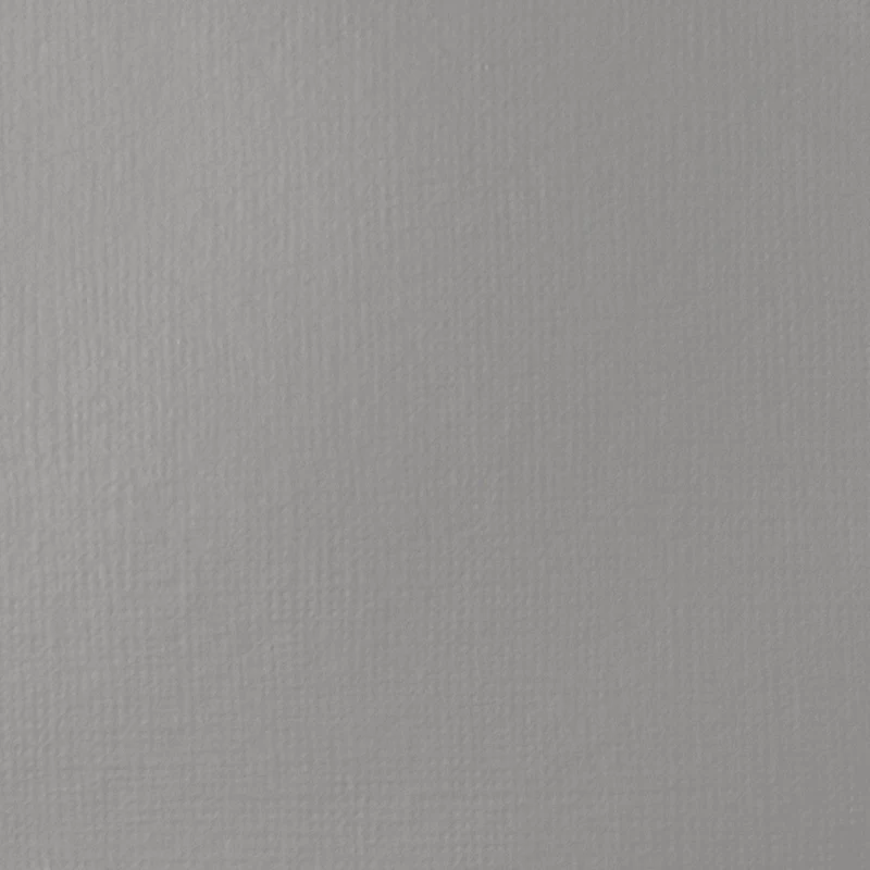 Liquitex Basics Fluid Acrylic 118ml - Neutral Gray 5 S1
