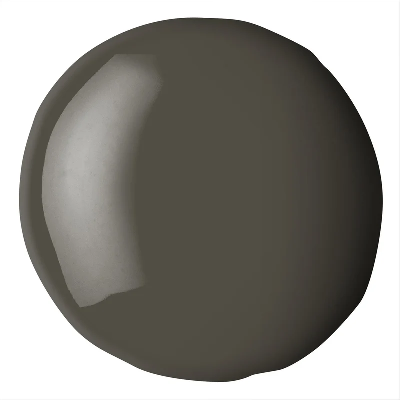 Liquitex Basics Fluid Acrylic 118ml - Raw Umber S1