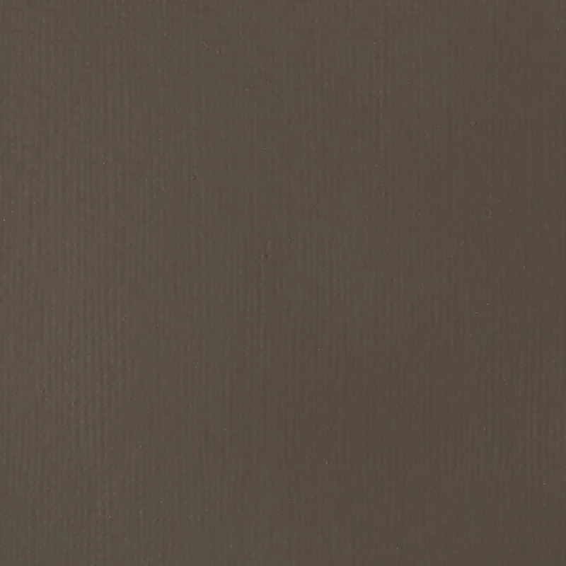 Liquitex Basics Fluid Acrylic 118ml - Raw Umber S1