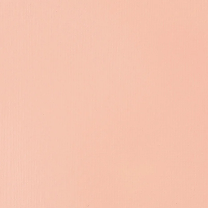 Liquitex Basics Fluid Acrylic 118ml - Light Pink S1