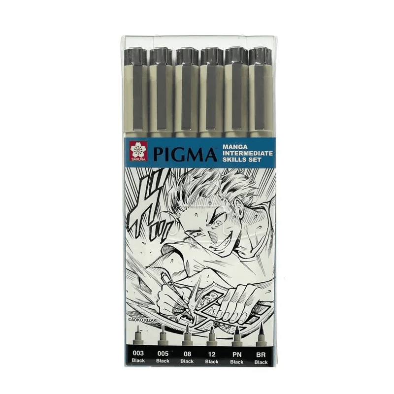 Sakura Pigma Micron Manga Intermediate Skills Set 6