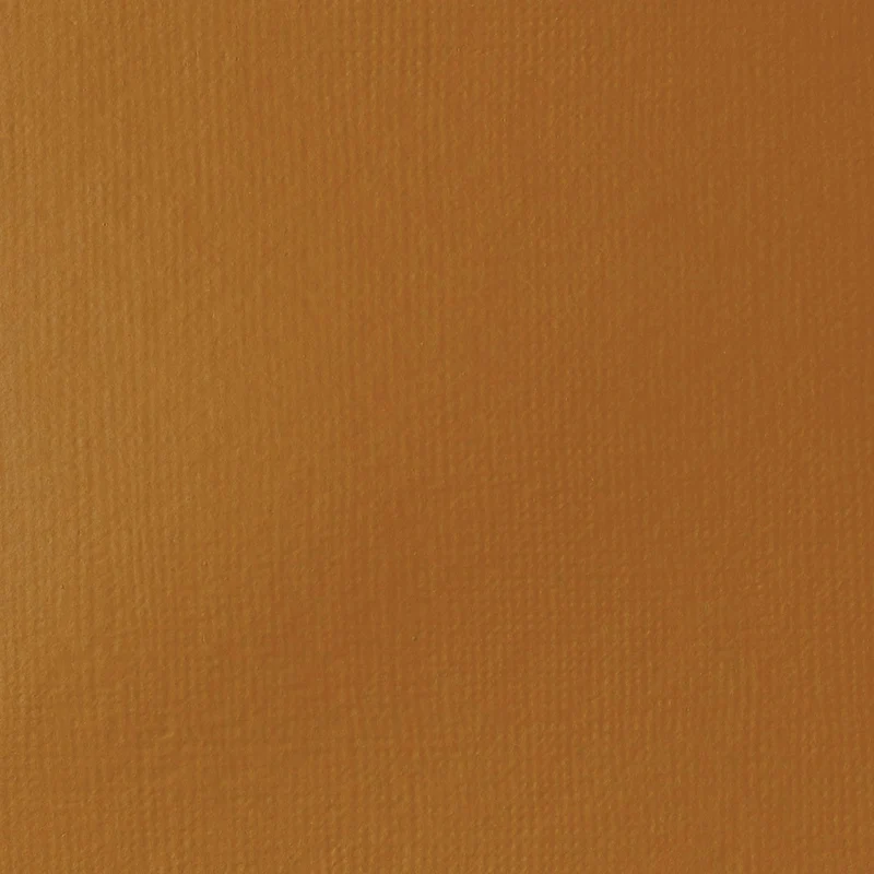 Liquitex Basics Fluid Acrylic 118ml - Raw Sienna S1
