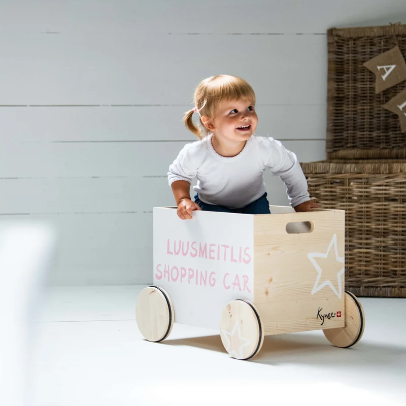 Spielzeugkiste mit Rädern Shopping Car