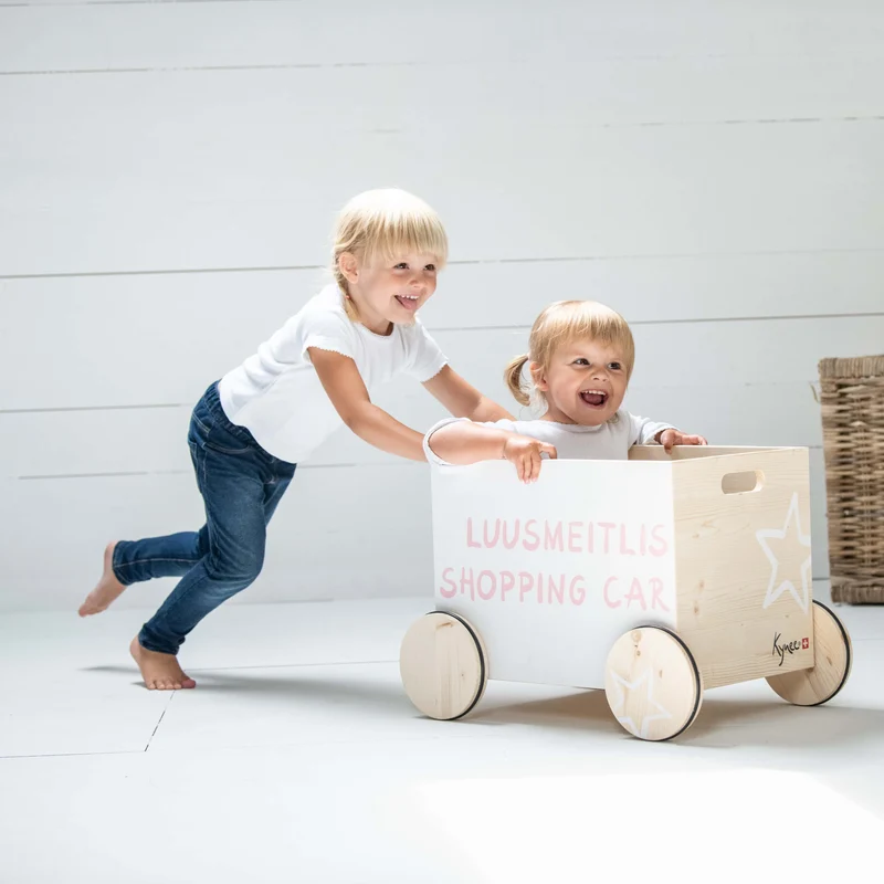 Spielzeugkiste mit Rädern Shopping Car
