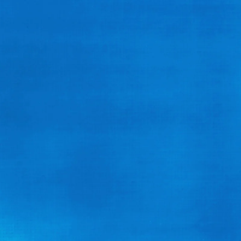 Liquitex Basics Fluid Acrylic 118ml - Fluorescent Blue S2