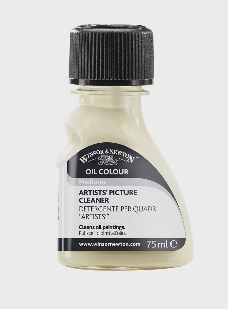 Artists' Picture Cleaner 75ml