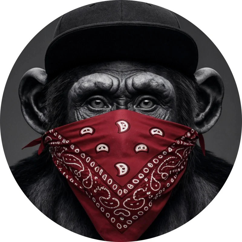 Aluminiumbild Affenporträt mit Bandana Kreis