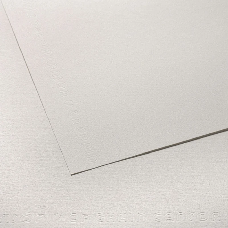 Canson C.A. Grain Paper 224gsm (10 sheets)