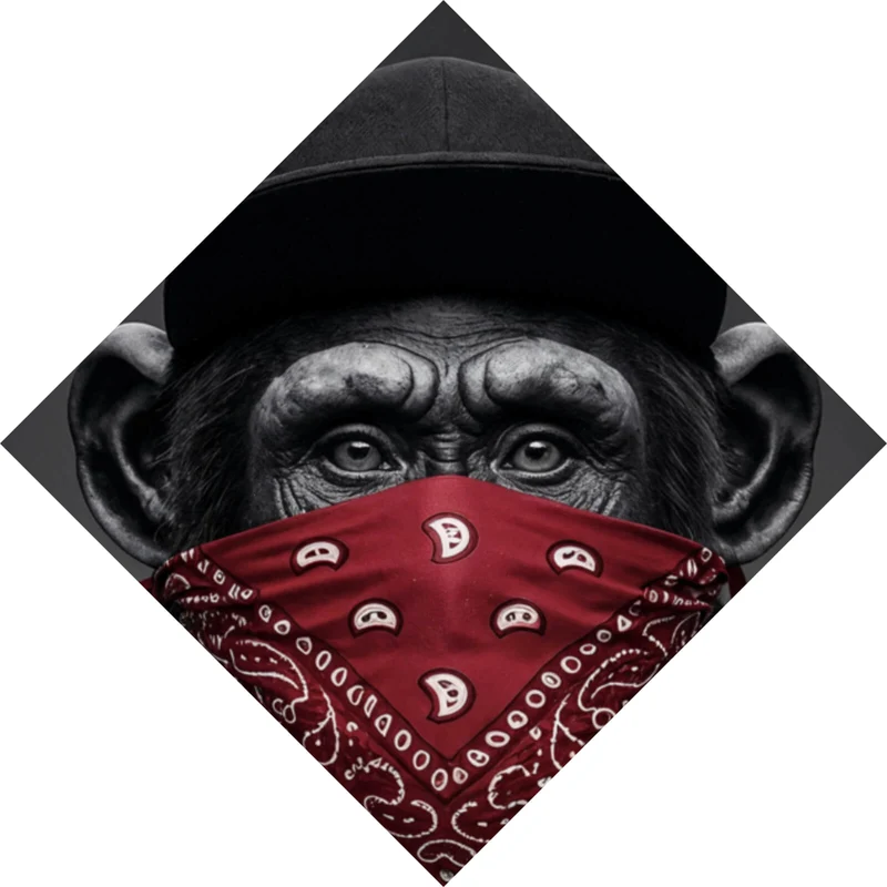Spannrahmenbild Affenporträt mit Bandana Raute