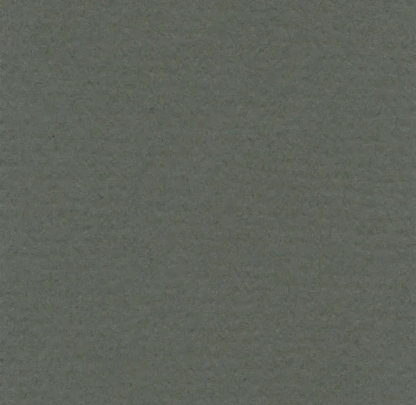 Hahnemuhle - Pastel Paper - Lanacolours - A4 - Ivy
