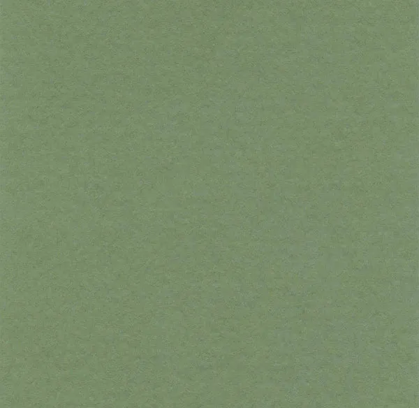 Hahnemuhle - Pastel Paper - Lanacolours - A4 - Sap Green