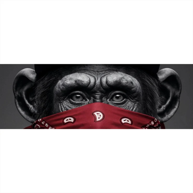 Spannrahmenbild Affenporträt mit Bandana Panorama