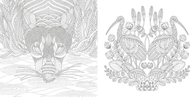 Book - Millie Marottas Wildlife Wonders - Colouring adventure.