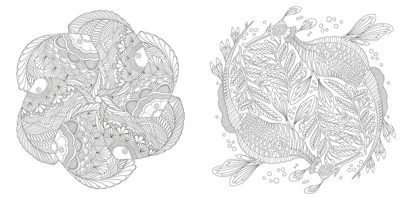 Book - Millie Marottas Wildlife Wonders - Colouring adventure.